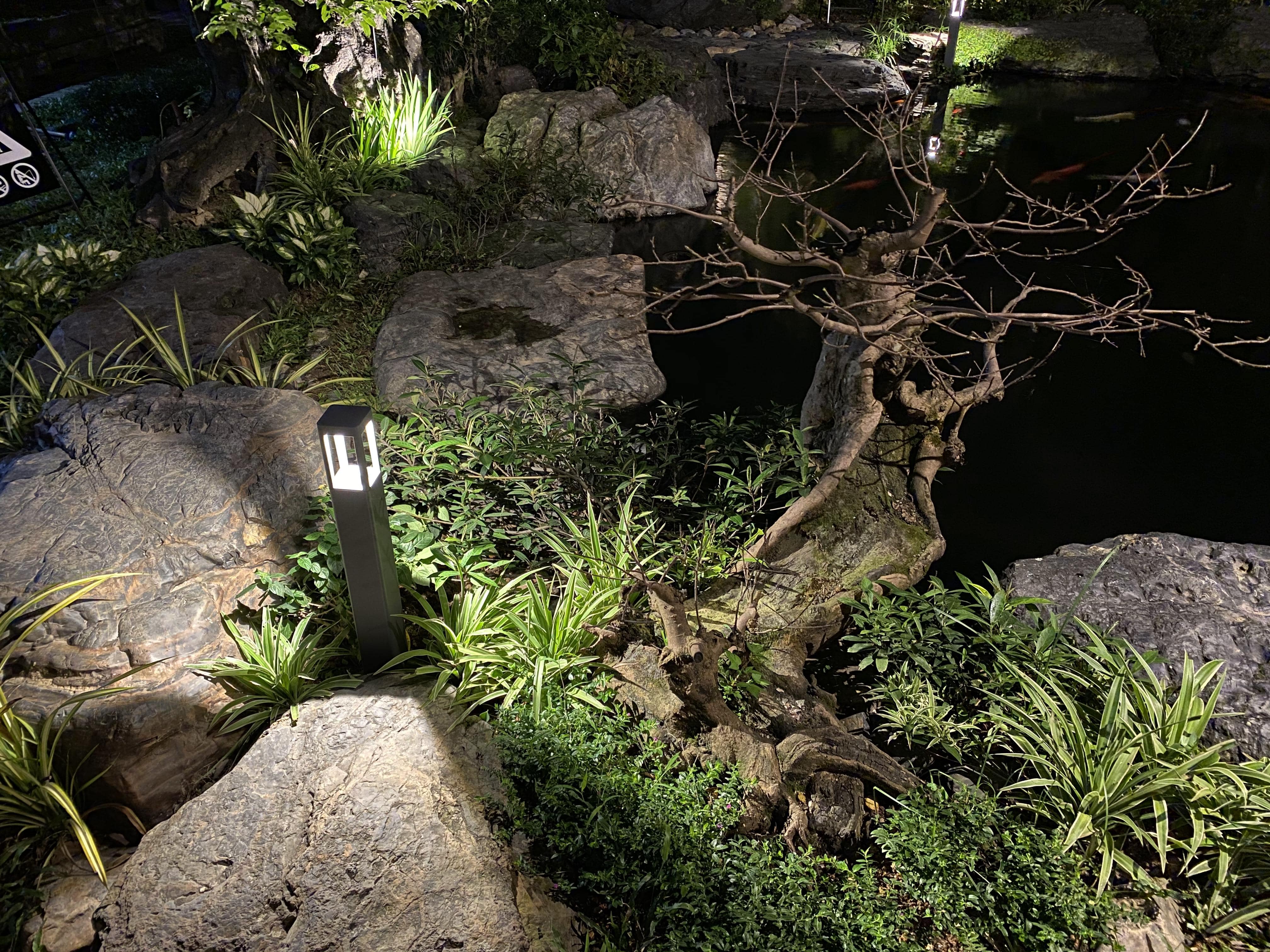 Project image 10